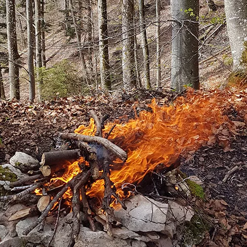 ist-eine-holzfeuerung-zeitgemaess